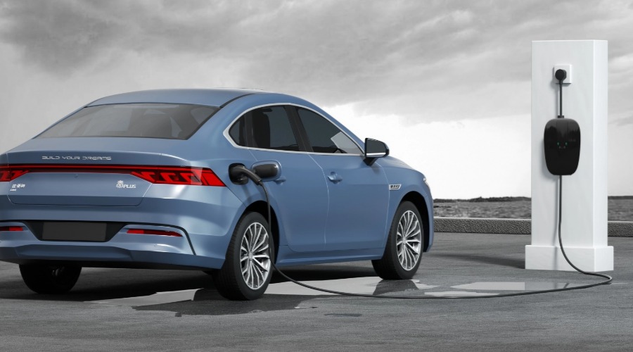 1737170955356113.jpg 1-900乘500.jpg